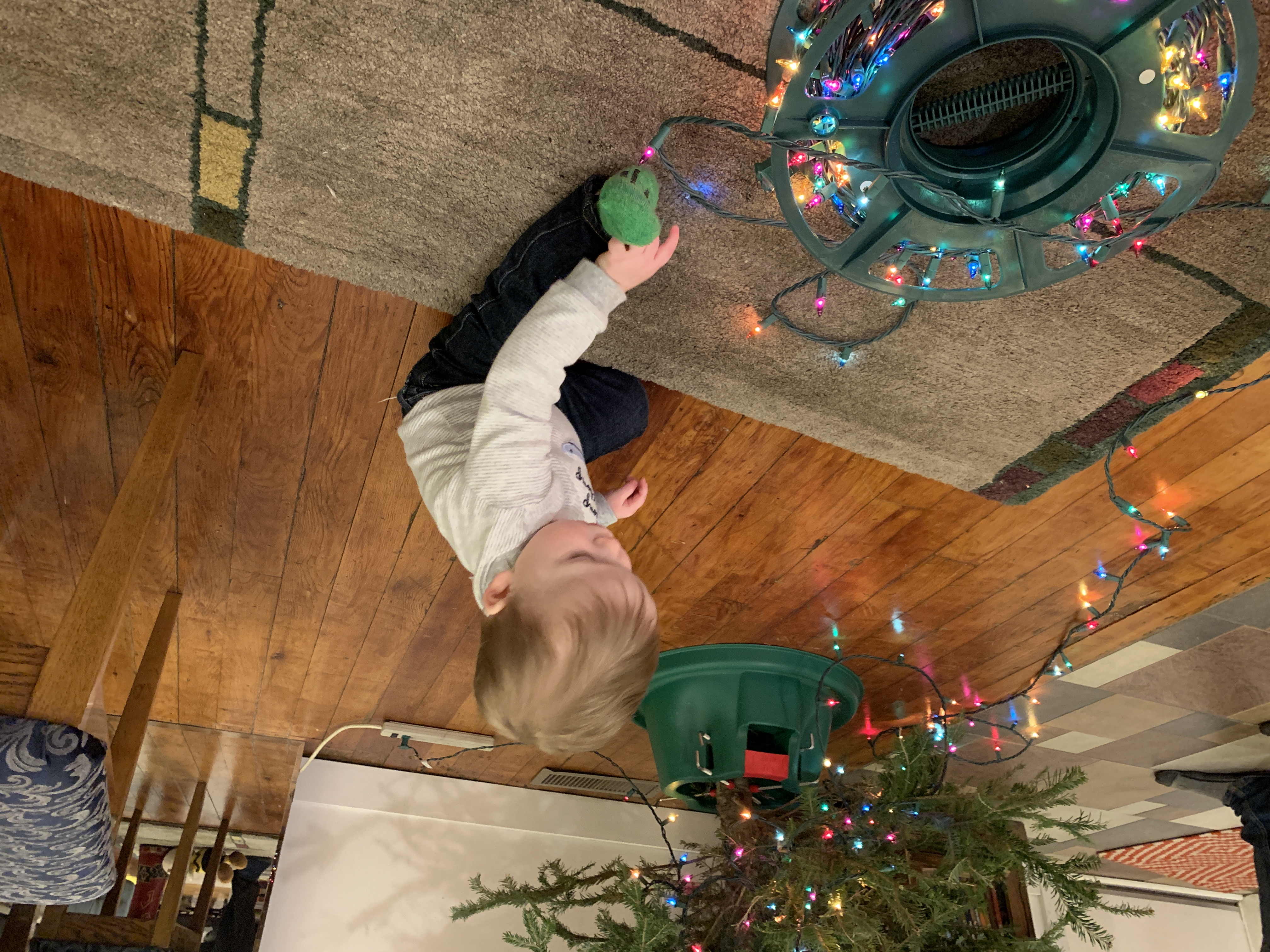 first tree